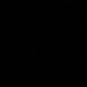 Meet your Posher, Vittoria